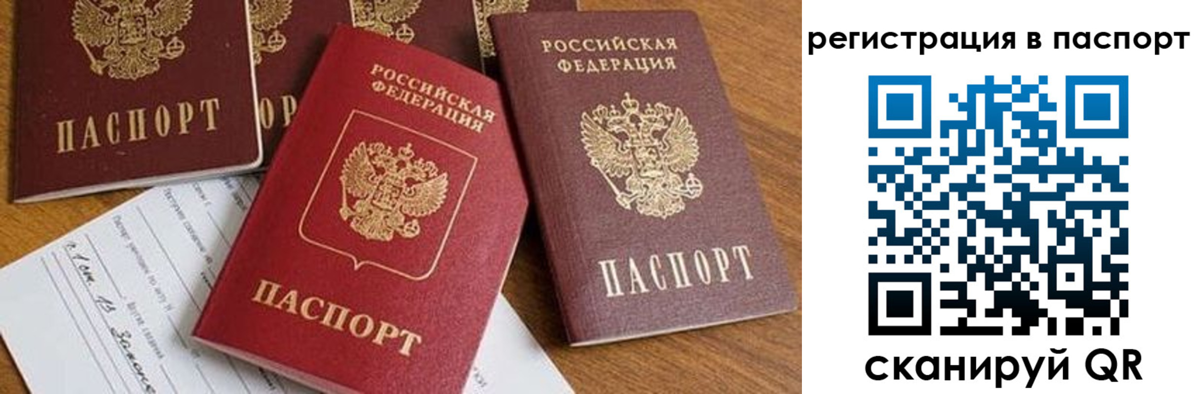 прописка в Александровске